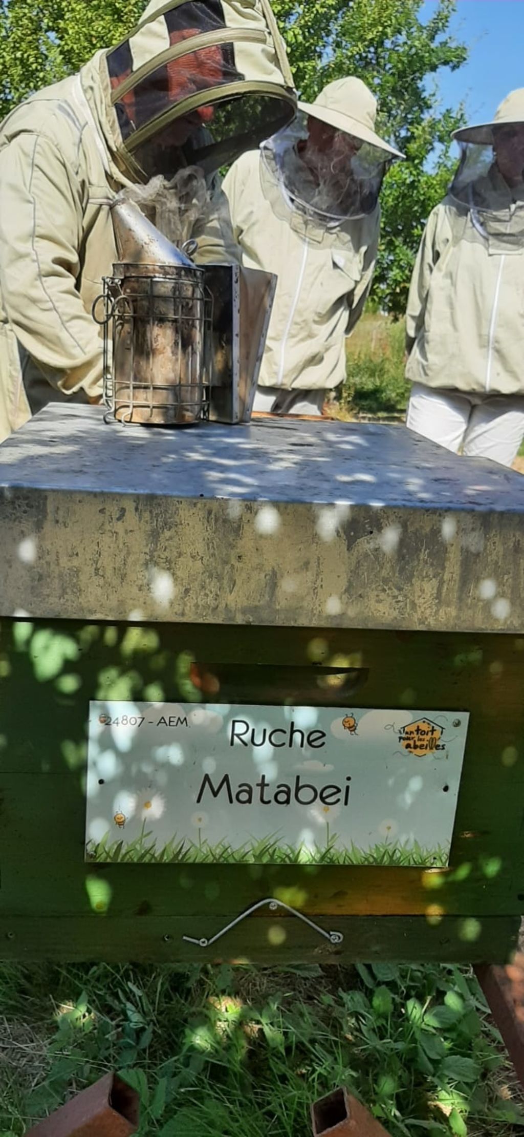La ruche