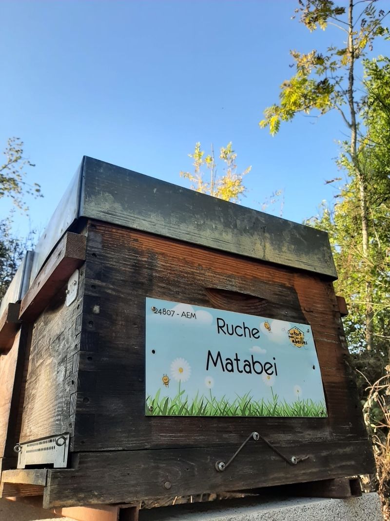 La ruche Matabei