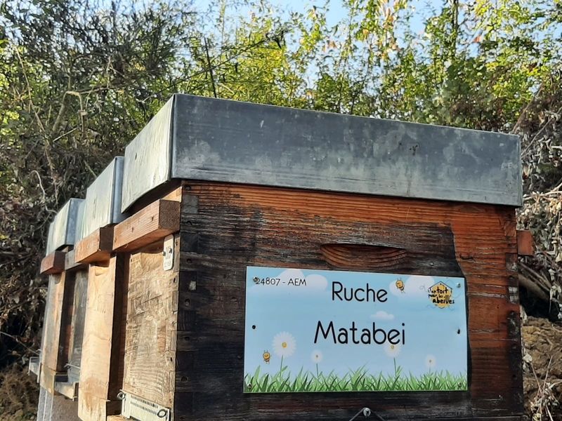 La ruche Matabei