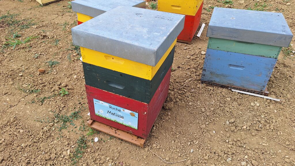 La ruche Matisse
