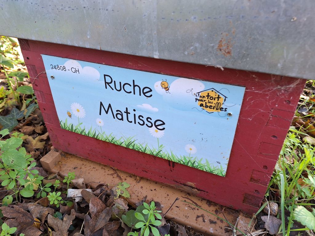La ruche Matisse