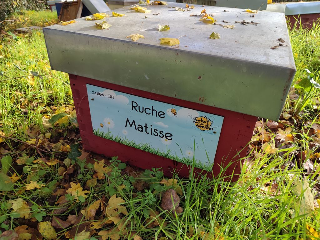 La ruche Matisse