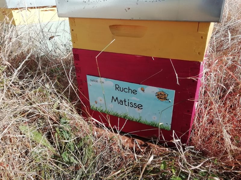 La ruche