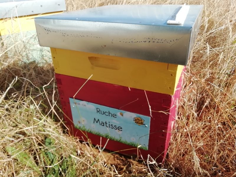 La ruche Matisse