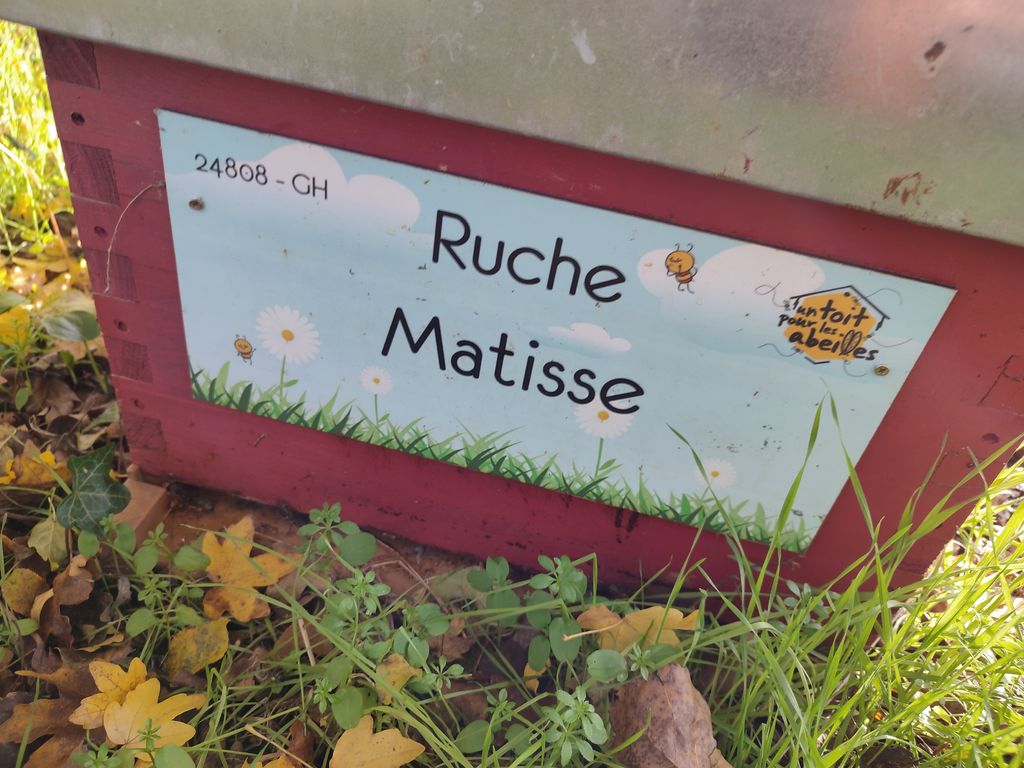 La ruche Matisse