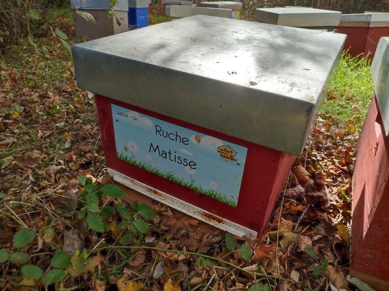 La ruche Matisse