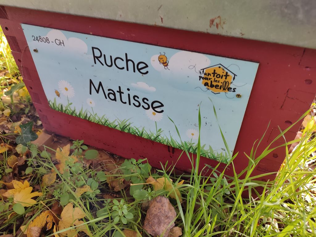 La ruche Matisse