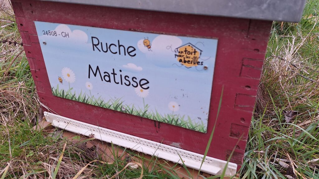 La ruche Matisse