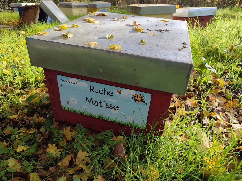 La ruche Matisse