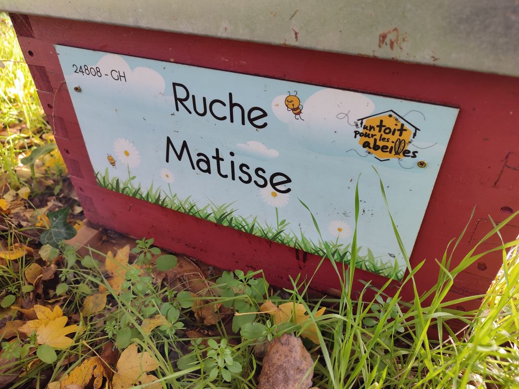 La ruche Matisse