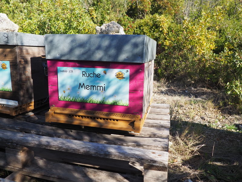 La ruche Memmi