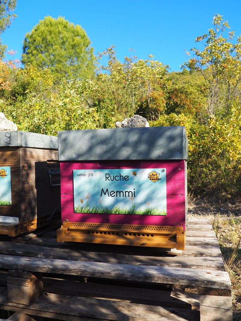 La ruche Memmi