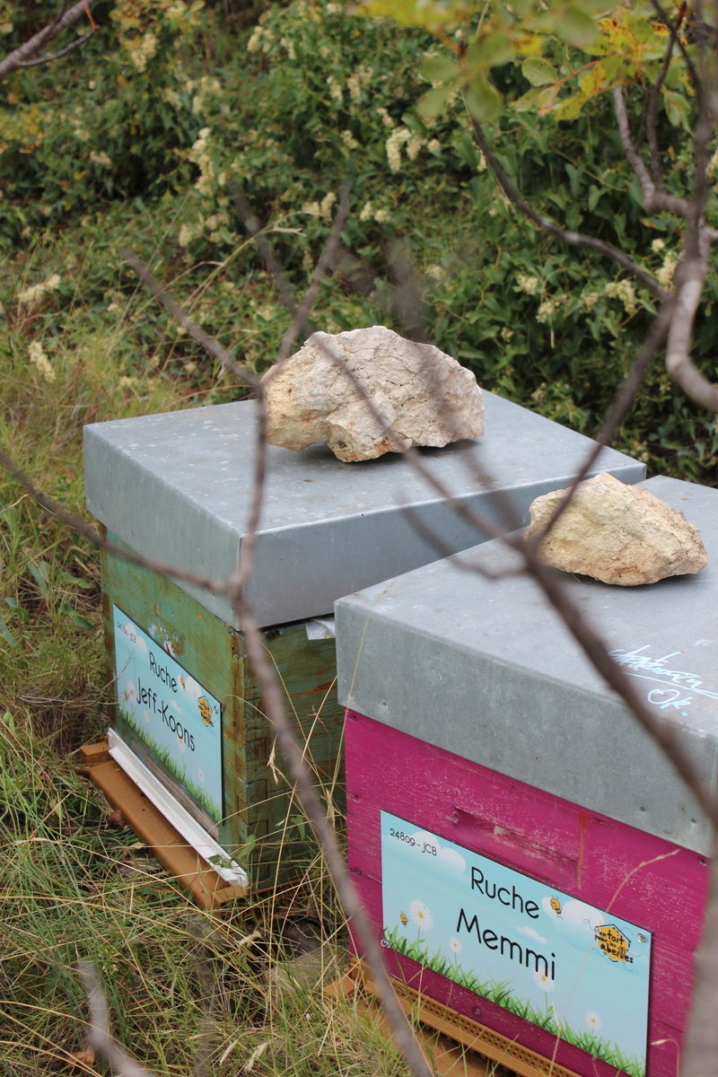 La ruche Memmi