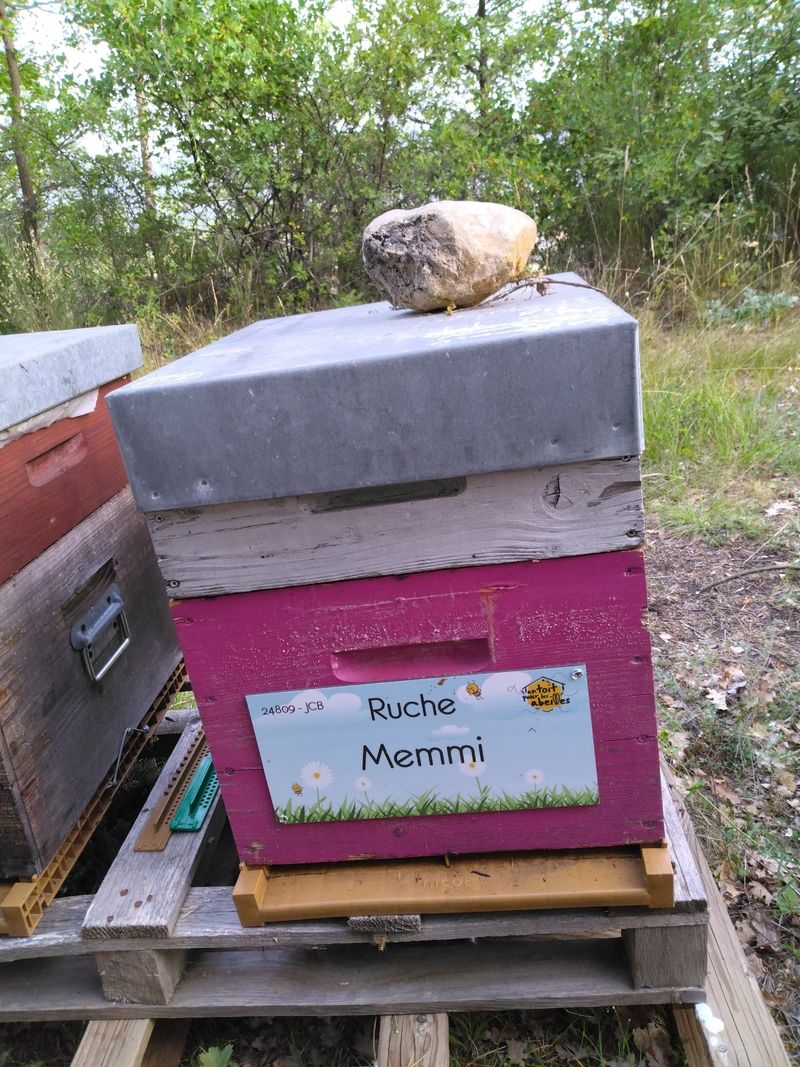 La ruche Memmi