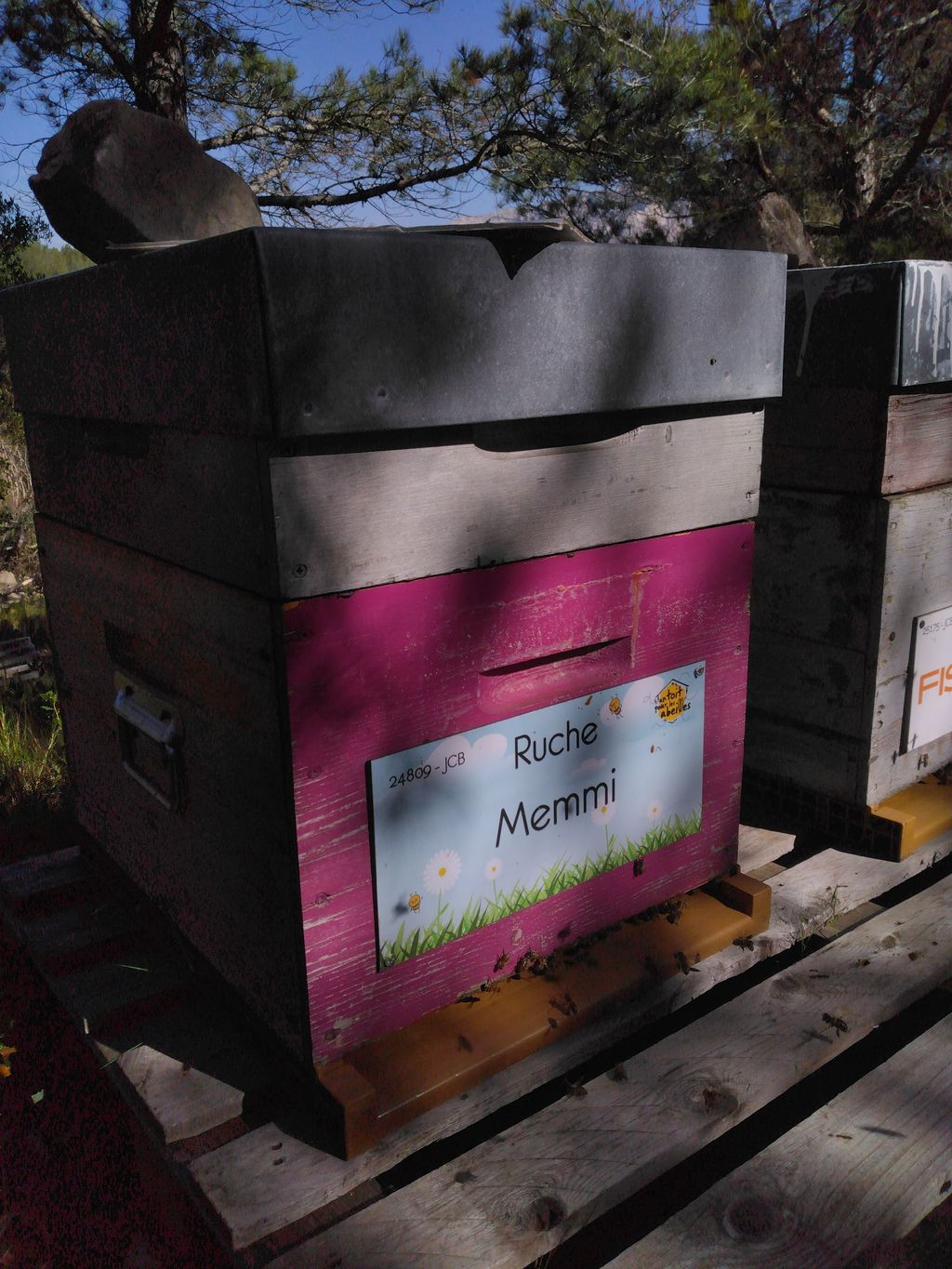 La ruche Memmi