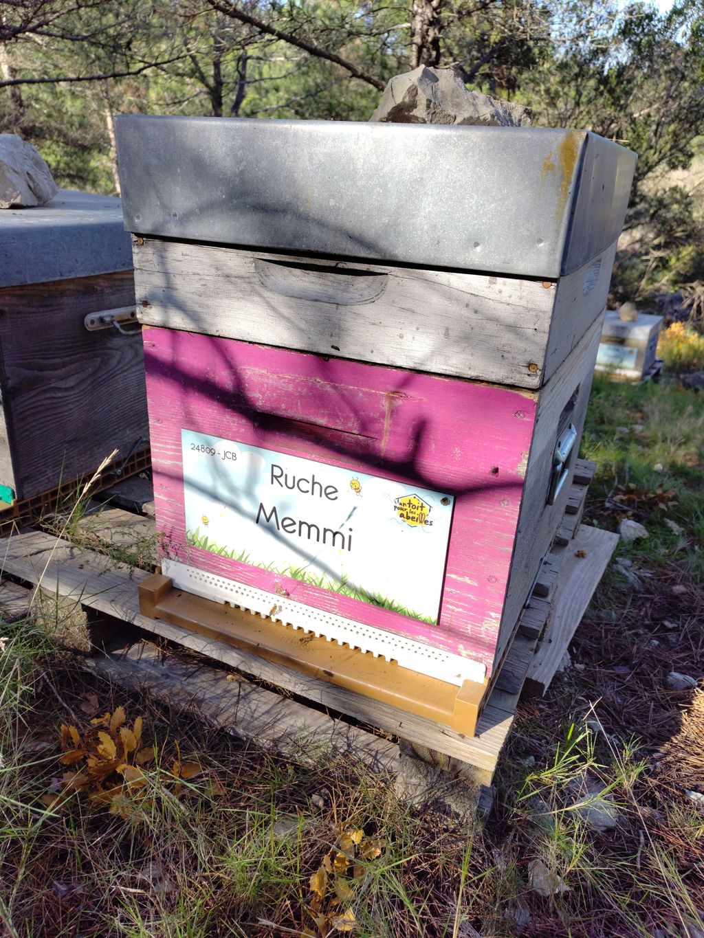 La ruche Memmi