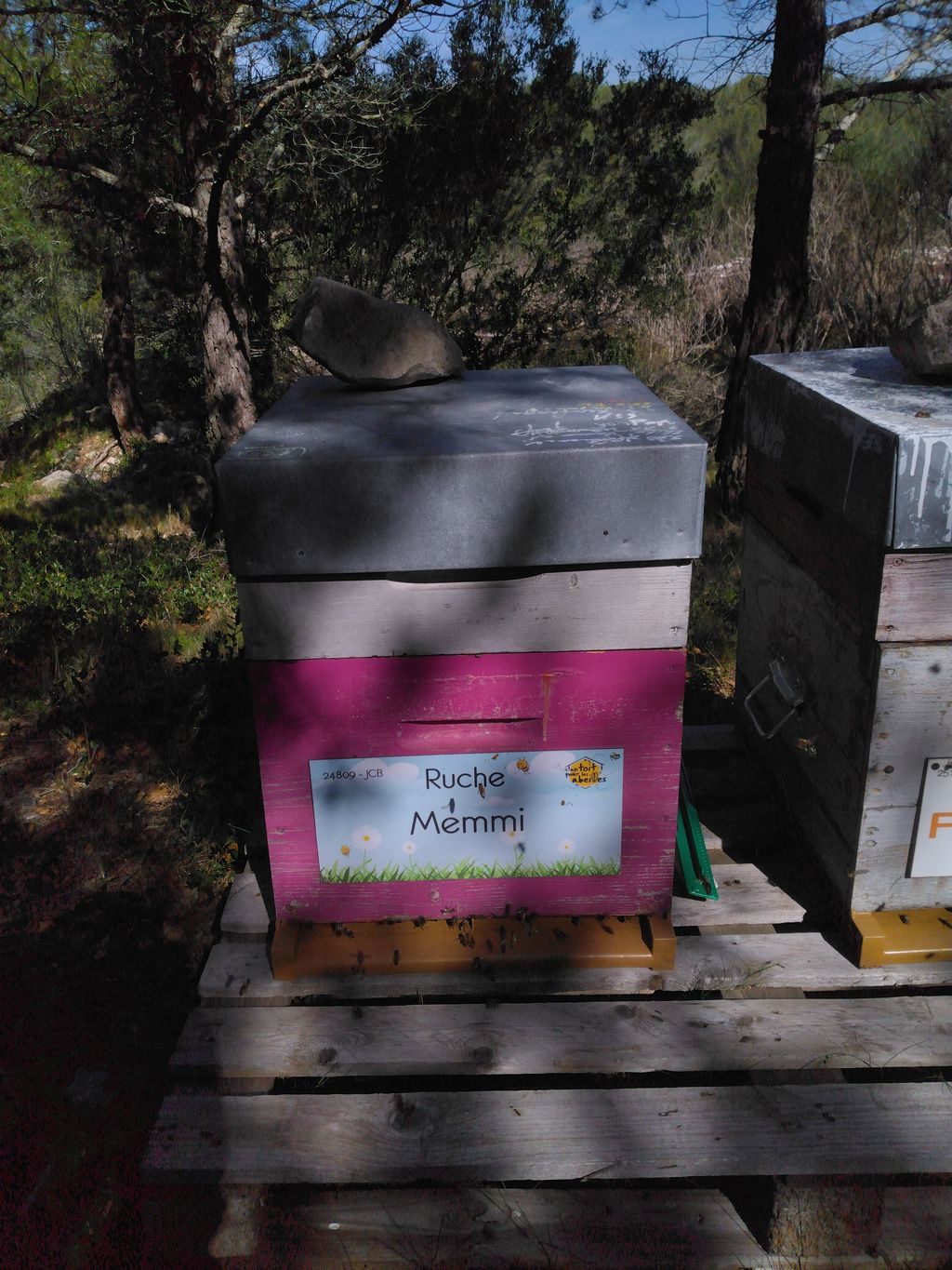 La ruche Memmi