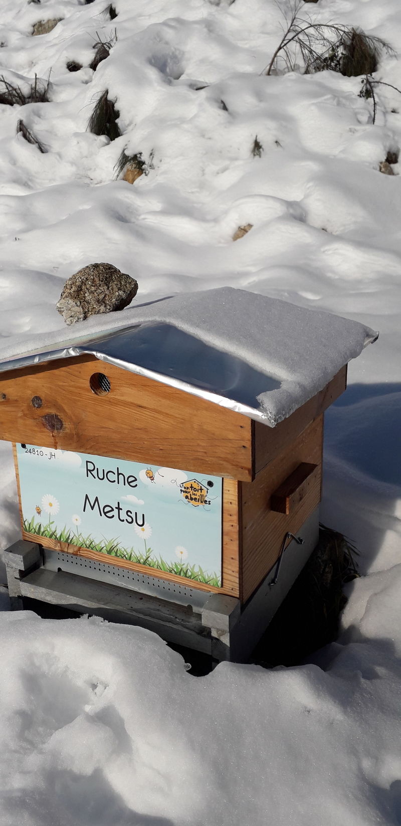La ruche