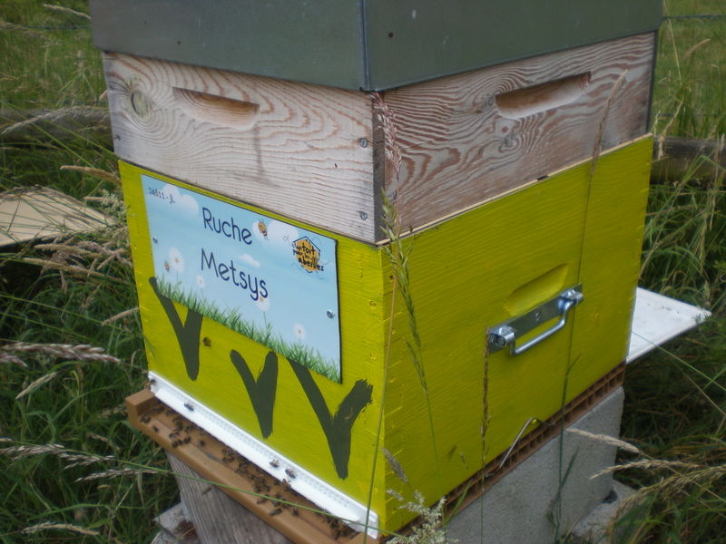 La ruche Metsys