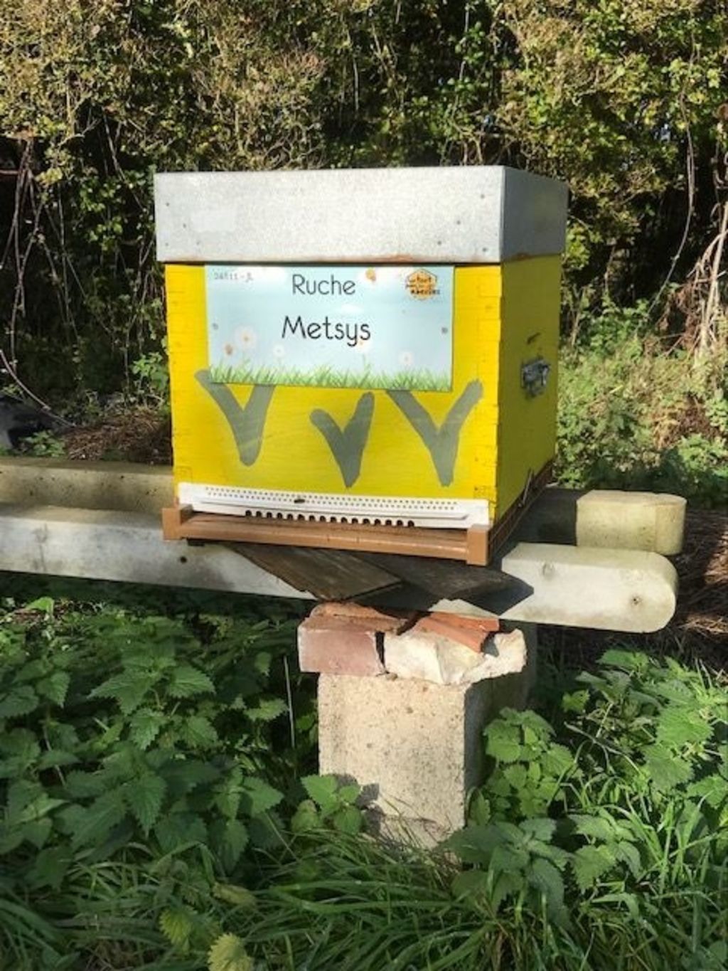 La ruche Metsys
