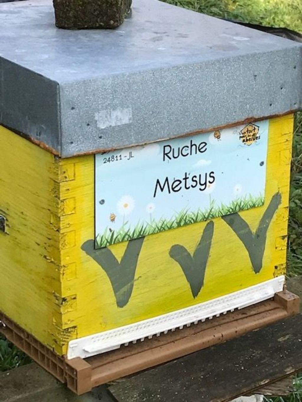 La ruche Metsys