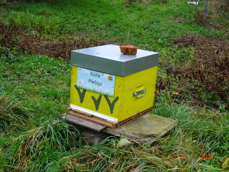 La ruche Metsys