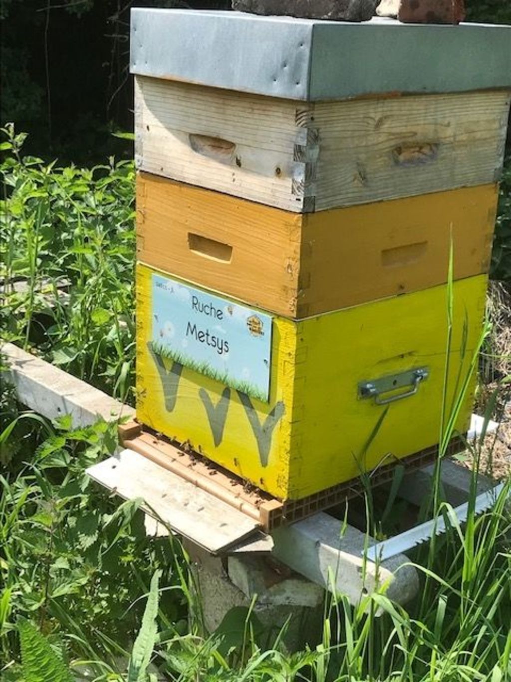 La ruche Metsys