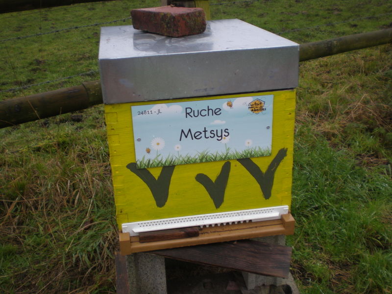 La ruche Metsys