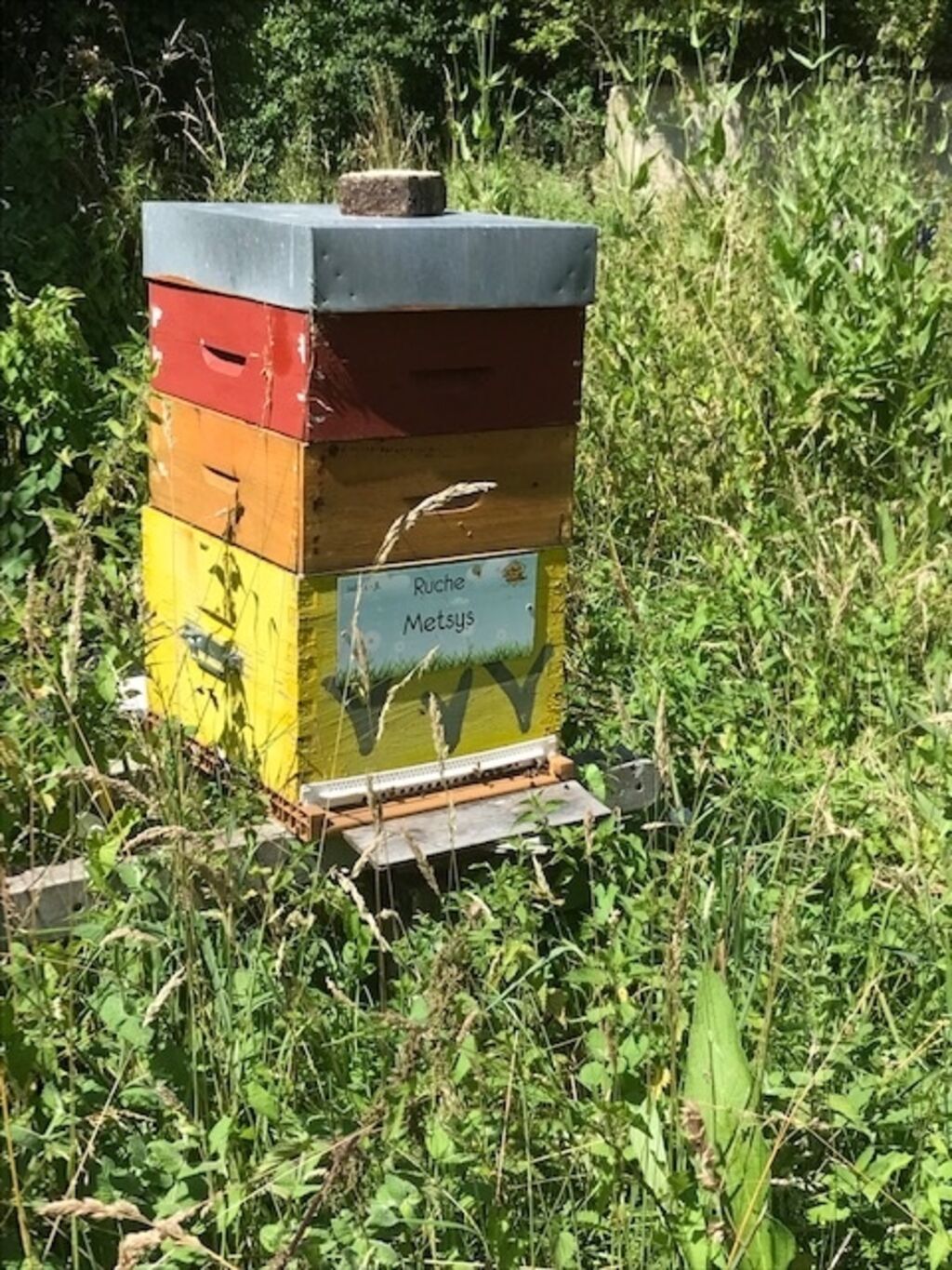La ruche Metsys