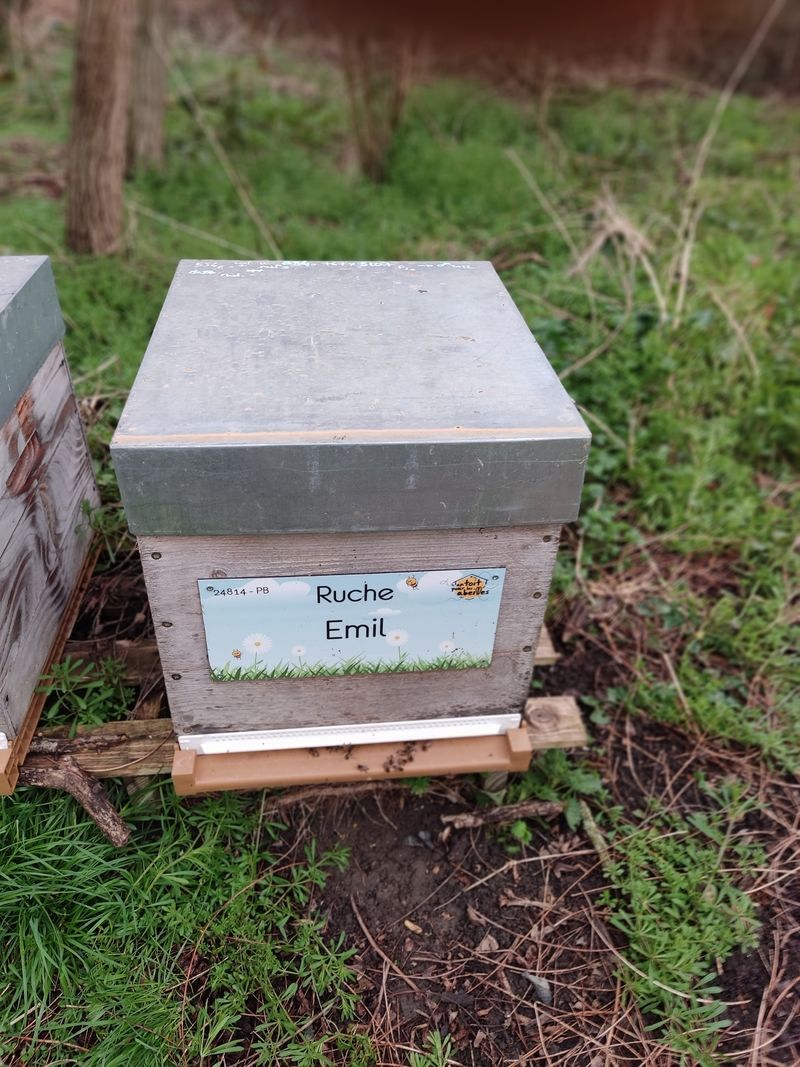 La ruche Emil