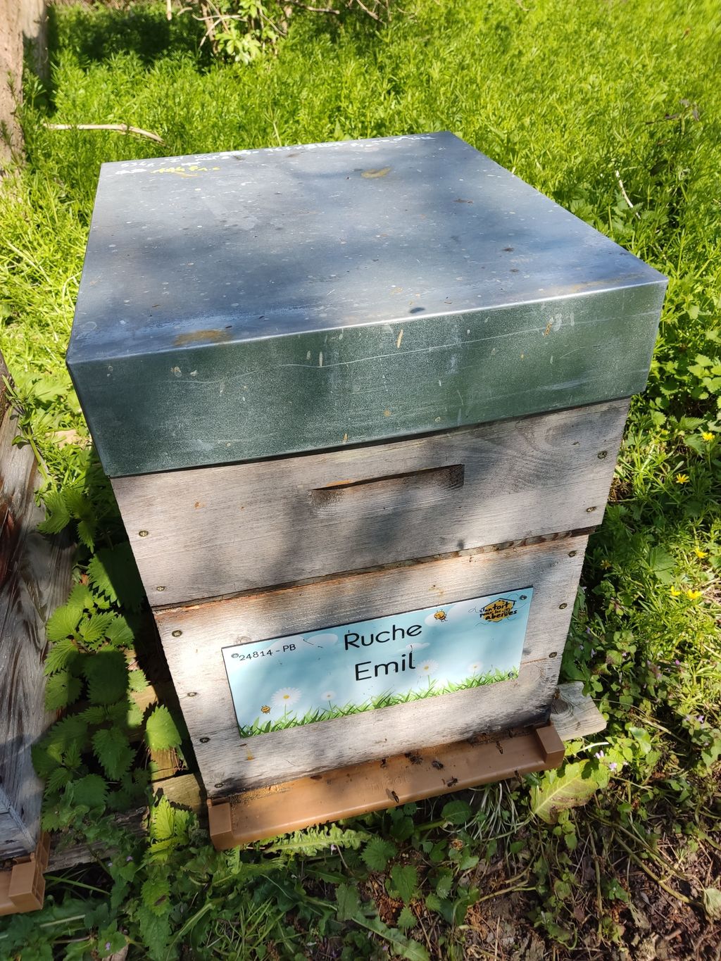 La ruche Emil