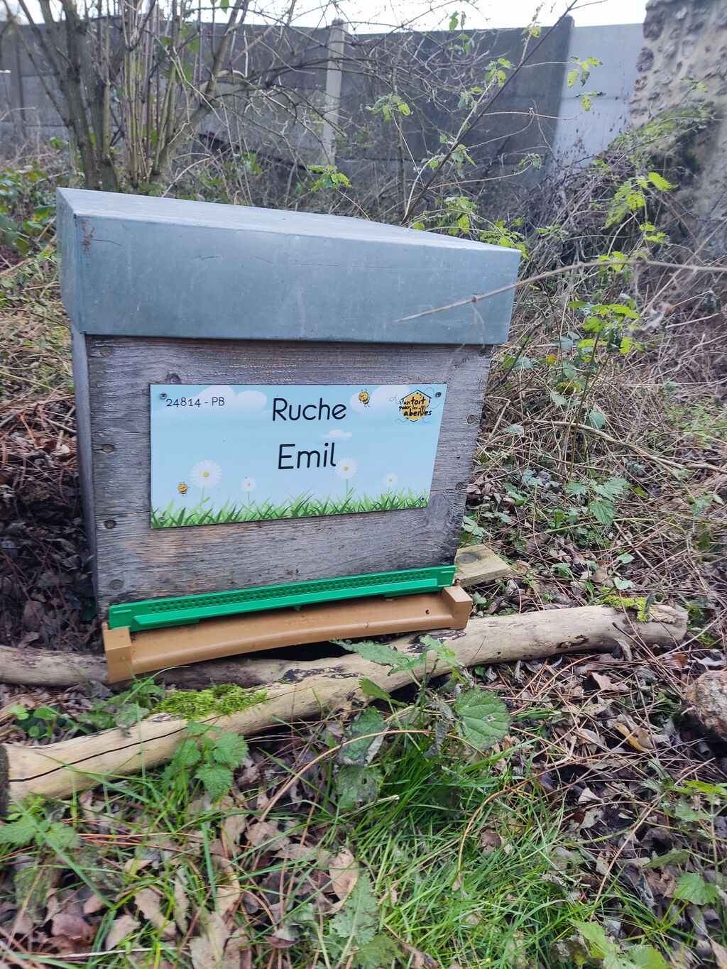 La ruche Emil