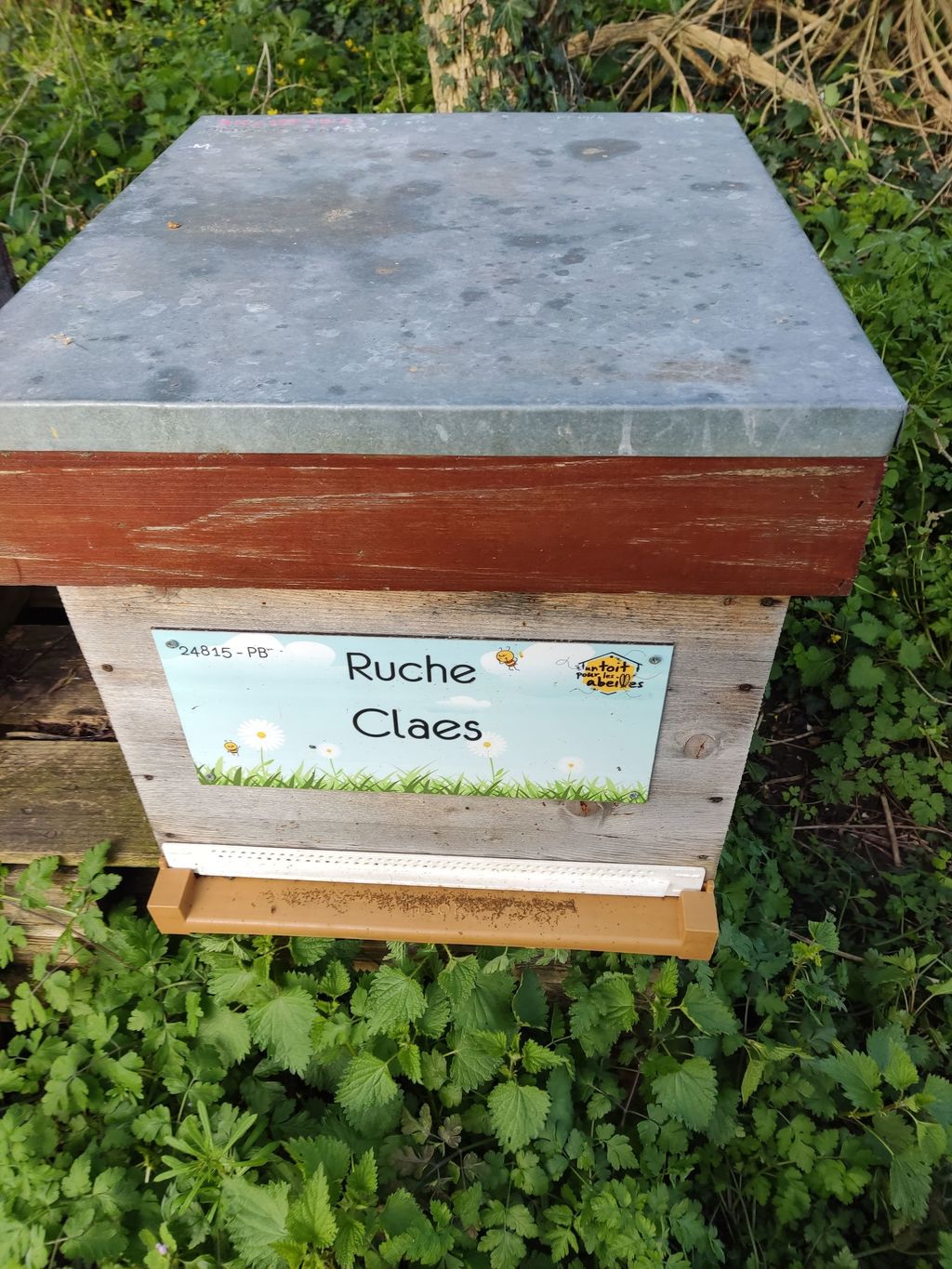 La ruche Claes