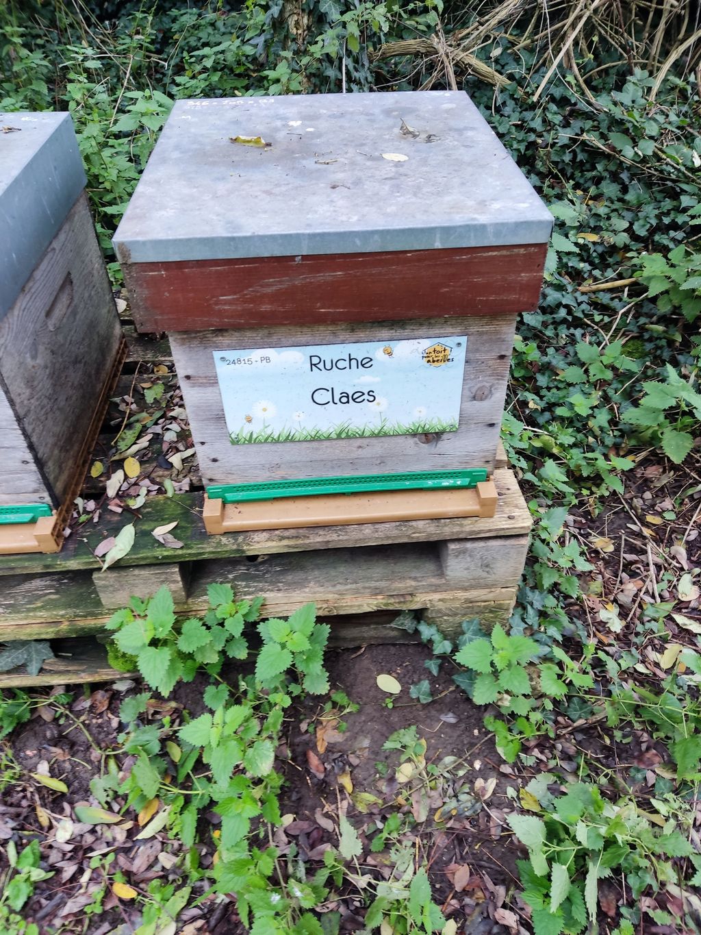 La ruche Claes