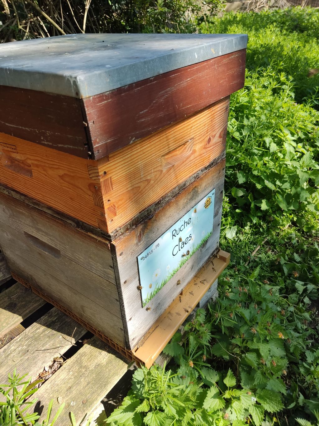 La ruche Claes
