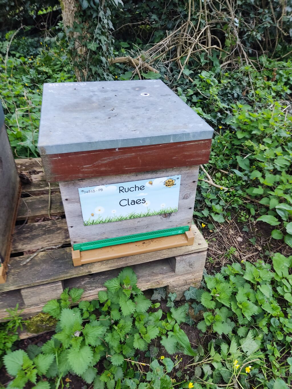 La ruche Claes