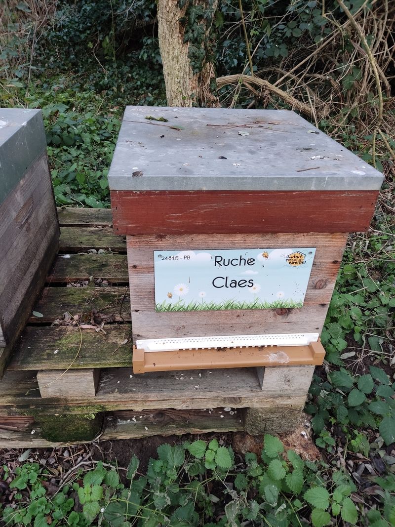 La ruche Claes