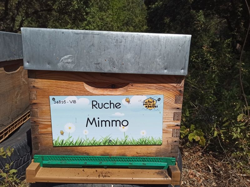 La ruche Mimmo