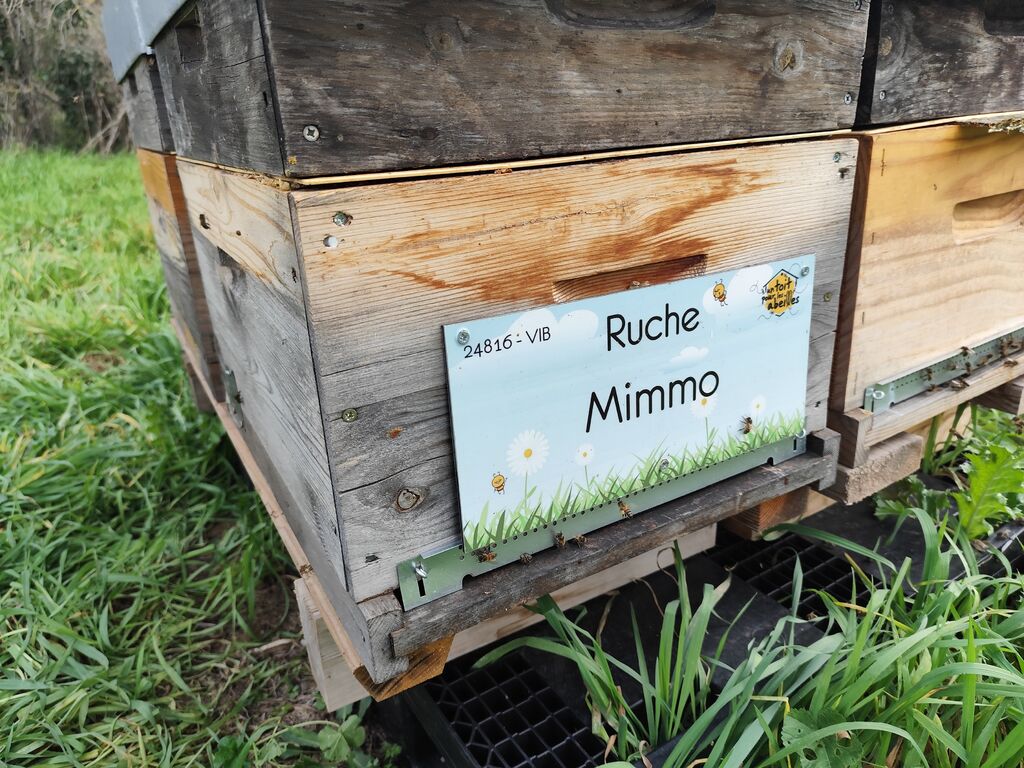 La ruche Mimmo