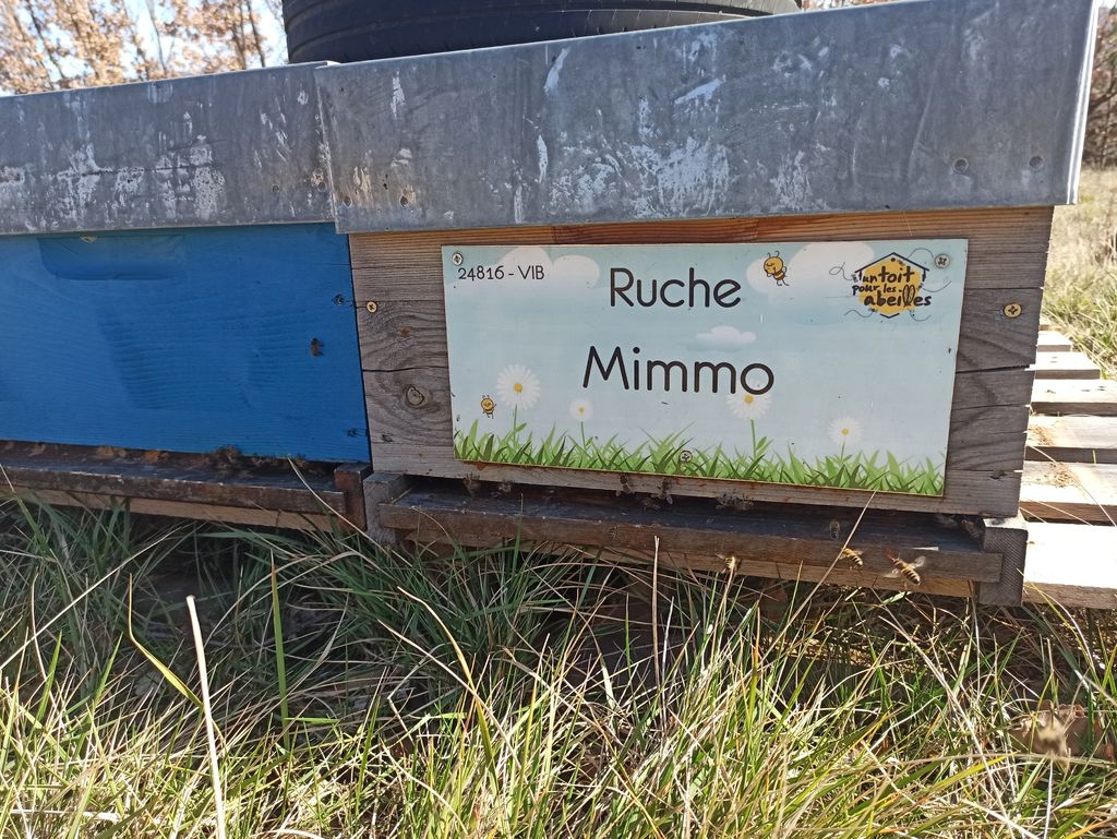 La ruche Mimmo