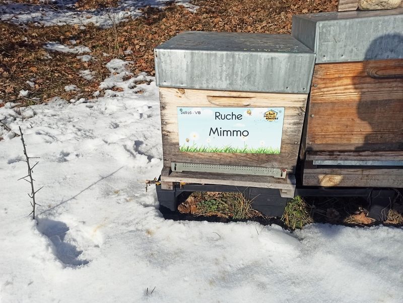 La ruche Mimmo
