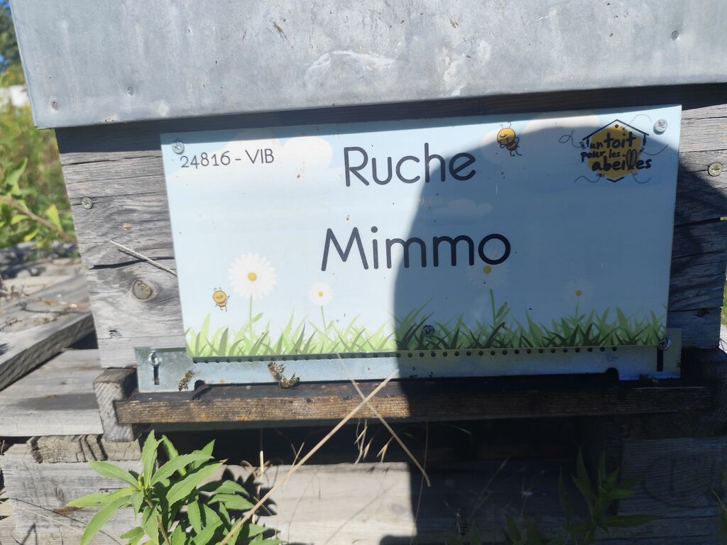La ruche Mimmo