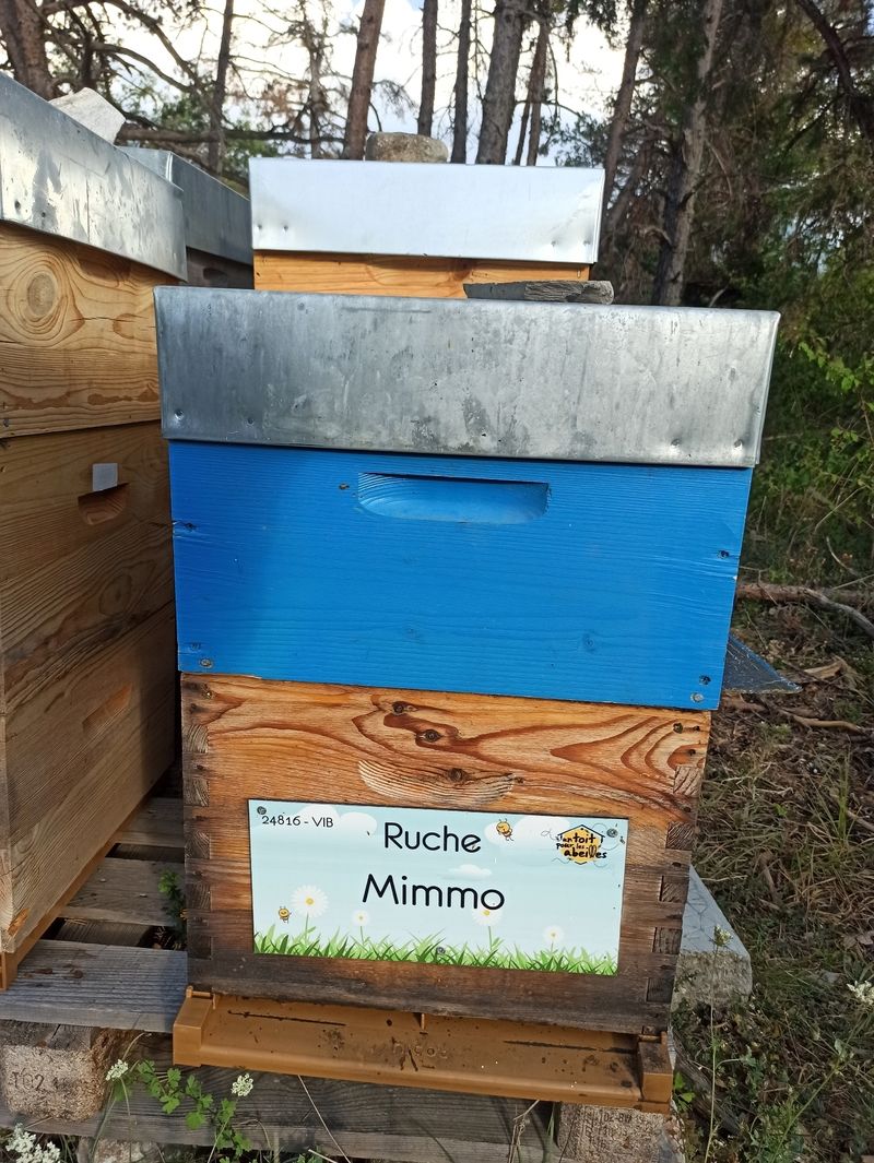 La ruche Mimmo