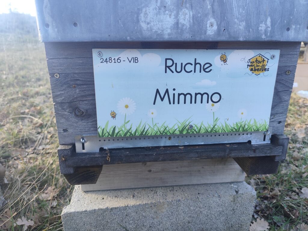 La ruche Mimmo