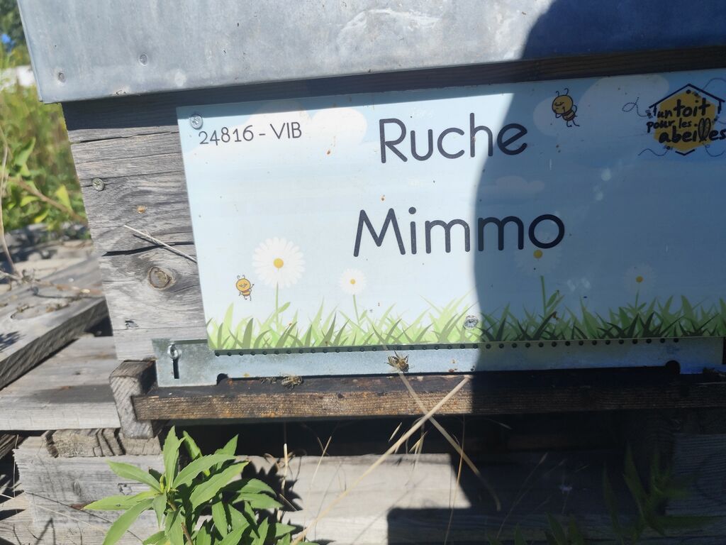La ruche Mimmo