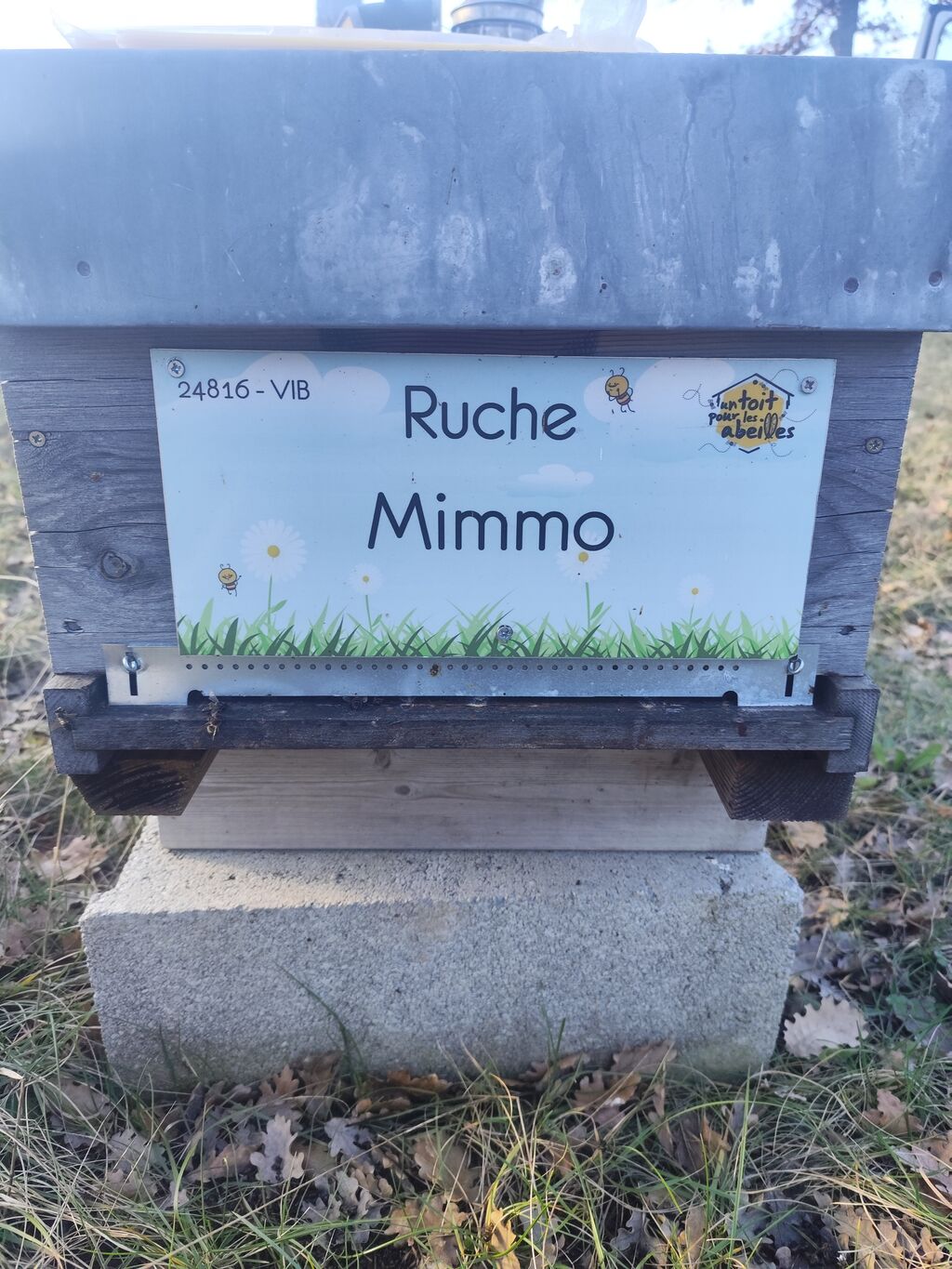 La ruche 