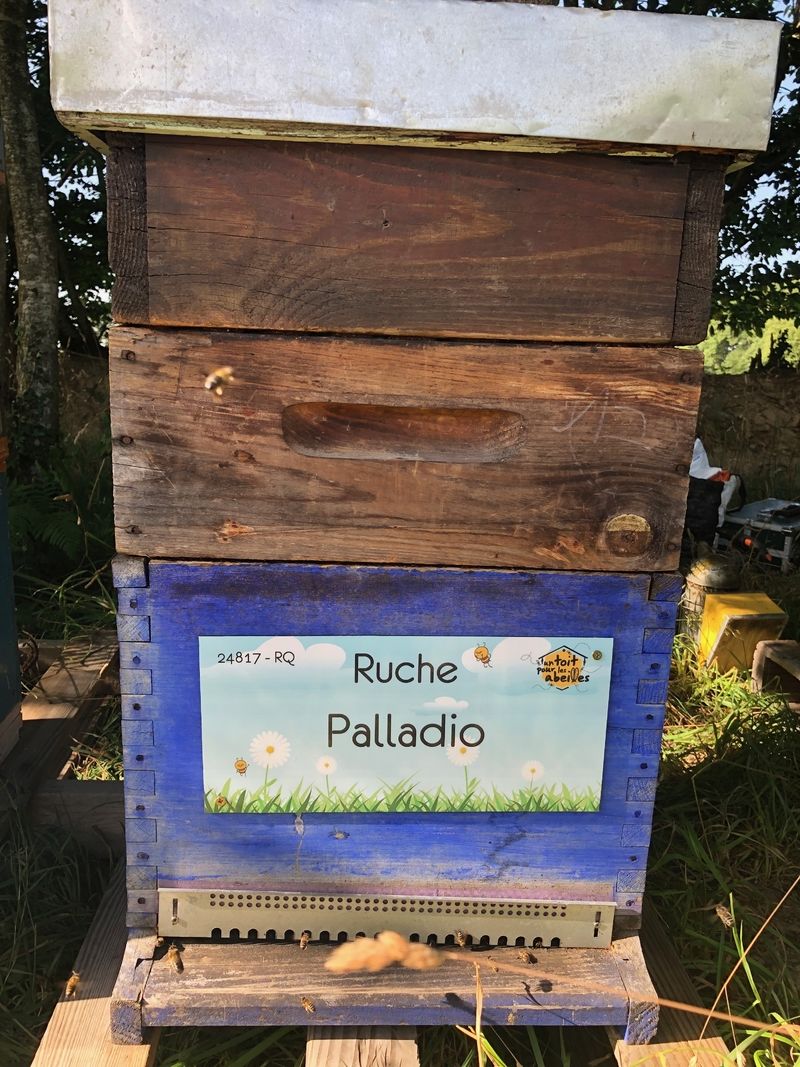 La ruche Palladio