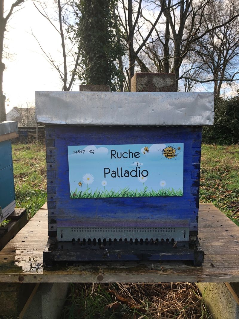 La ruche