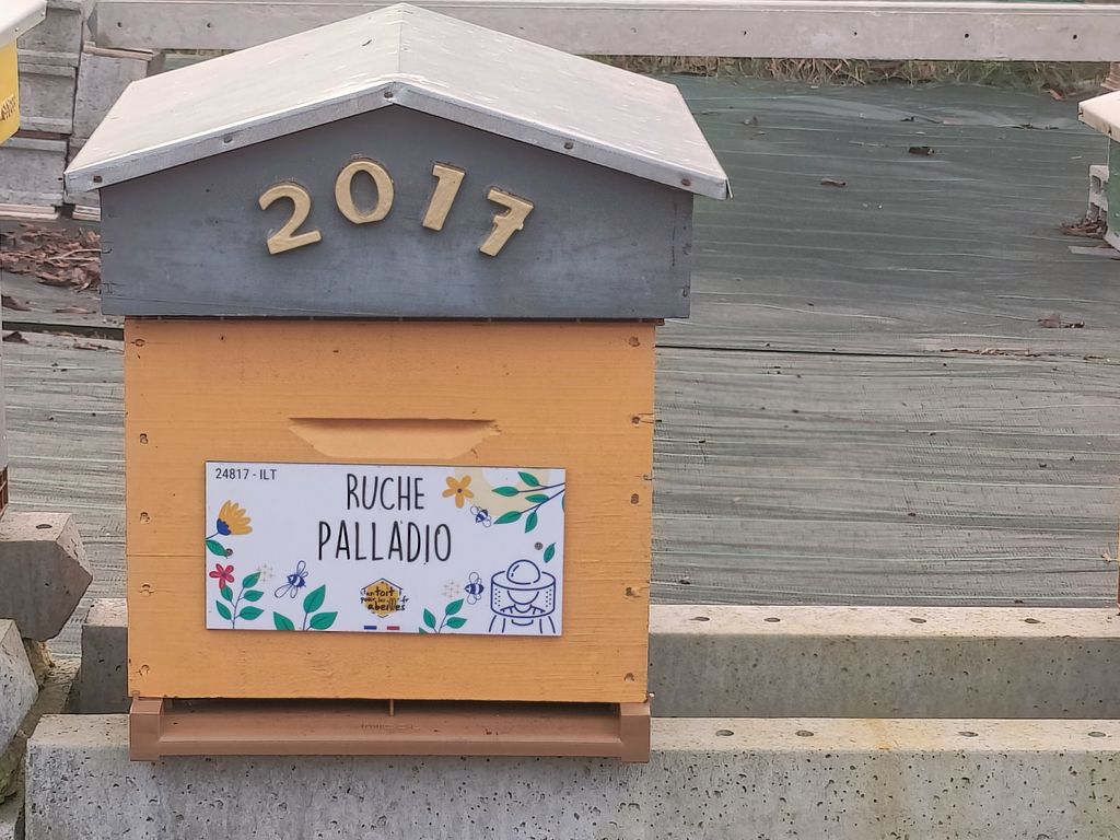 La ruche Palladio