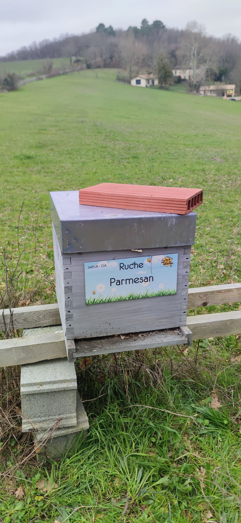 La ruche Parmesan